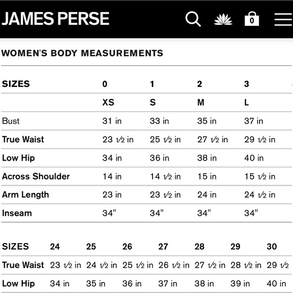 NWT JAMES PERSE Fitted Low Back Velvet Dress in Black XS - Picture 12 of 13